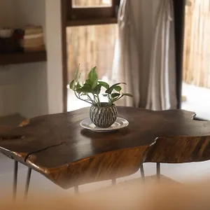 https://big-tree-boutique-hotel-koh-tao.tophotelskohtao.com